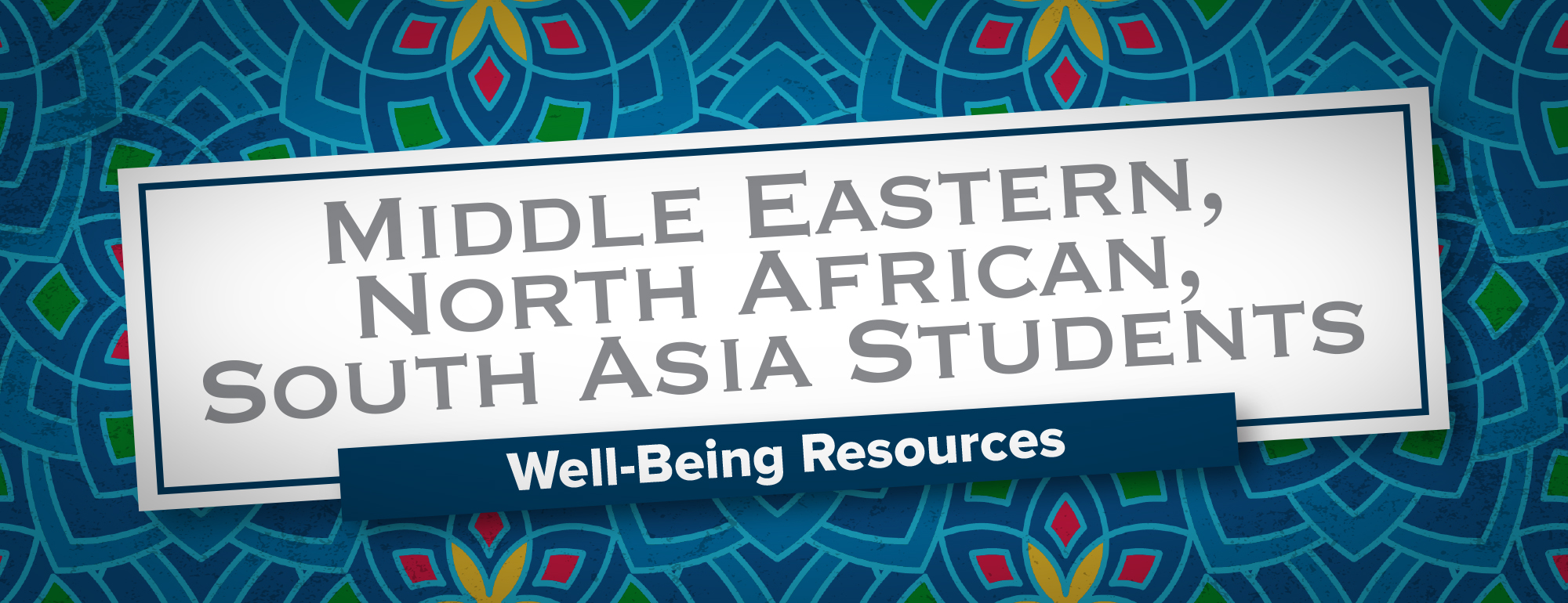 中东，北非，南亚学生