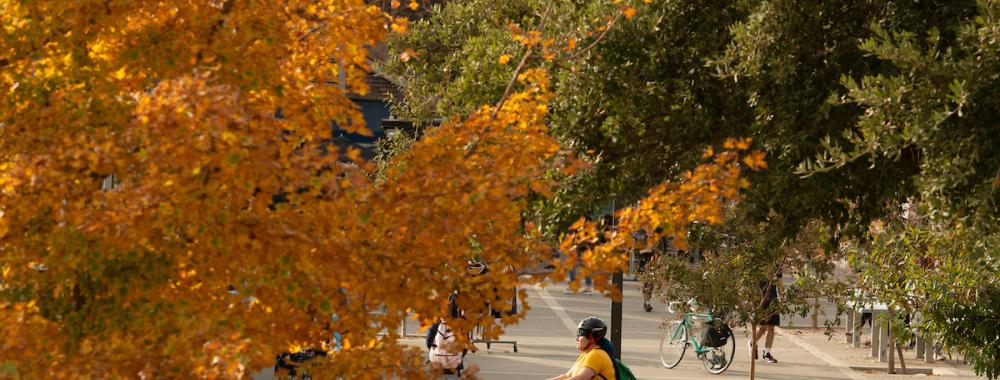 当一名学生戴着自行车头盔穿过校园时，树木都变成了秋天的颜色